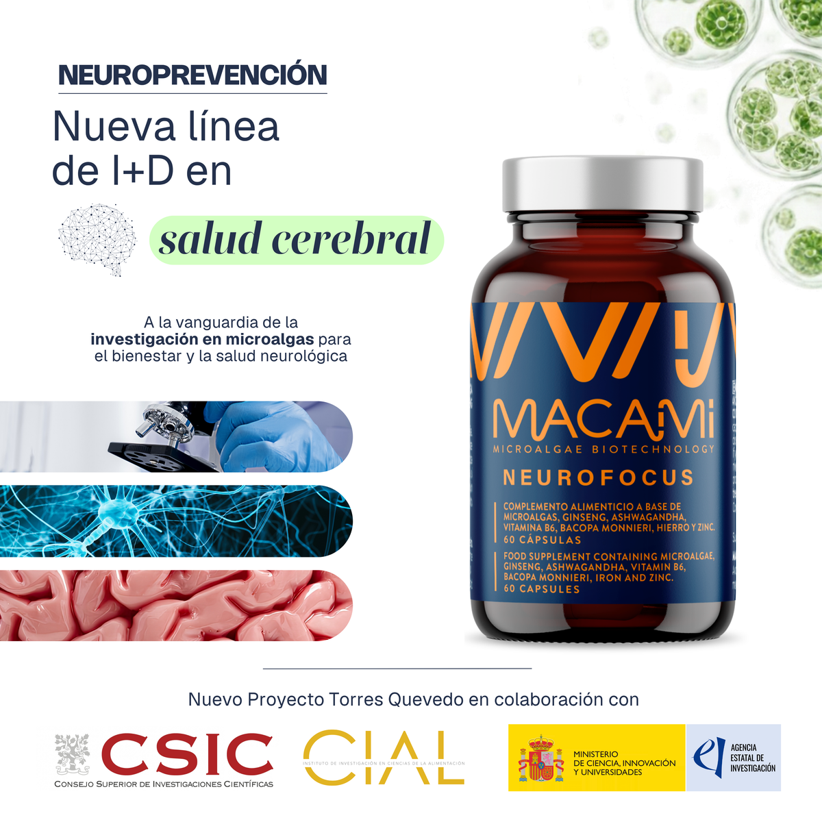 MACAMI BIOTECH impulsa una nueva línea de I+D en salud cerebral con la incorporación del Dr. Juan Miguel Godoy