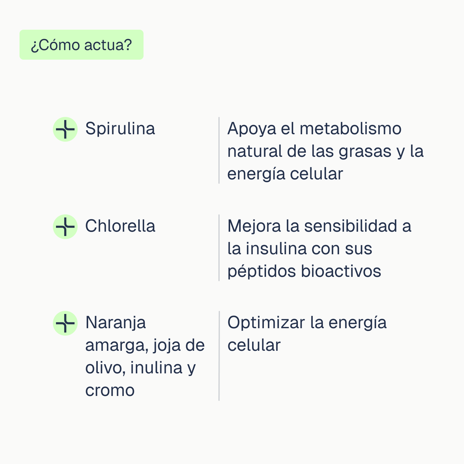 Slim Cardio