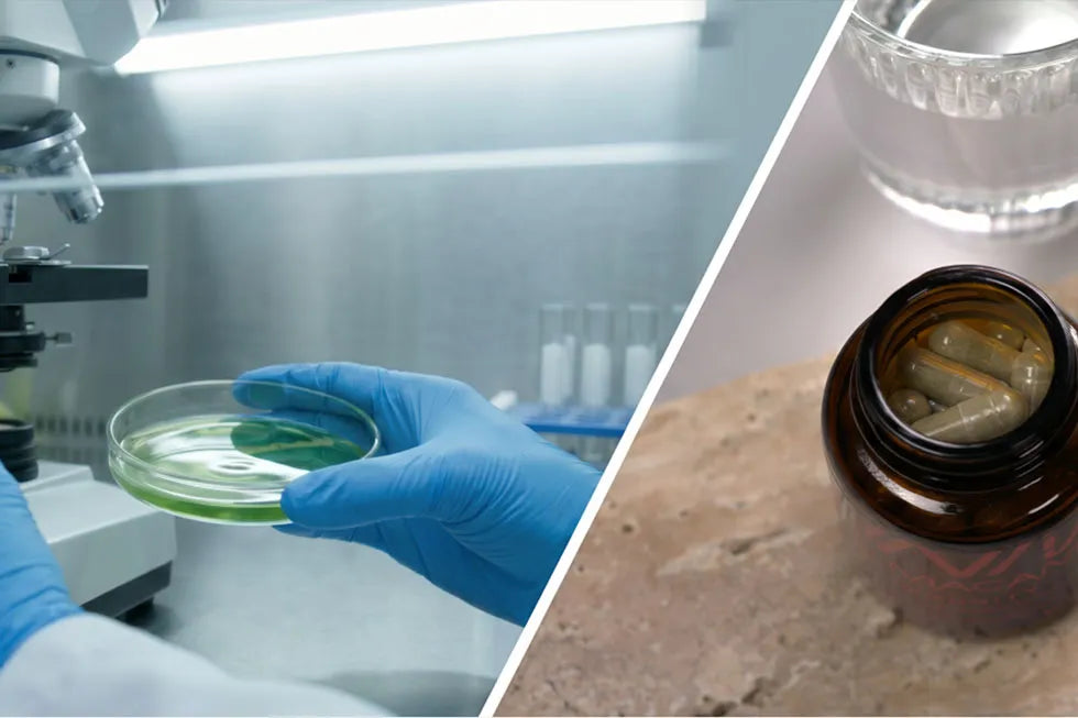 Ejemplos de cómo los nutracéuticos pueden ayudar a tu cuerpo