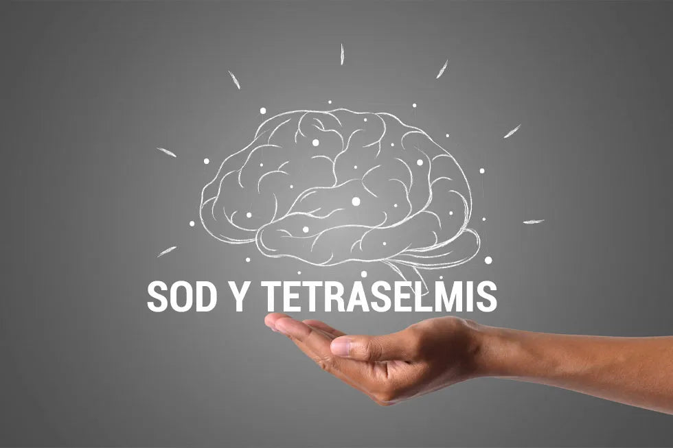 SOD y Tetraselmis: La revolución en salud cognitiva