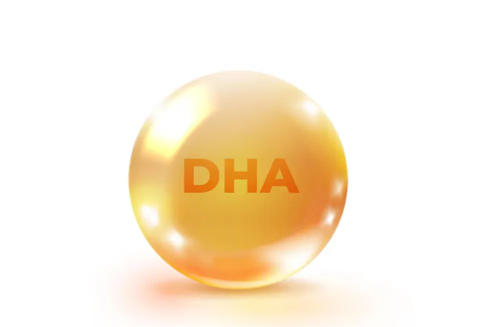 DHA: Qué es, beneficios y por qué es clave en el Omega 3 | Macami