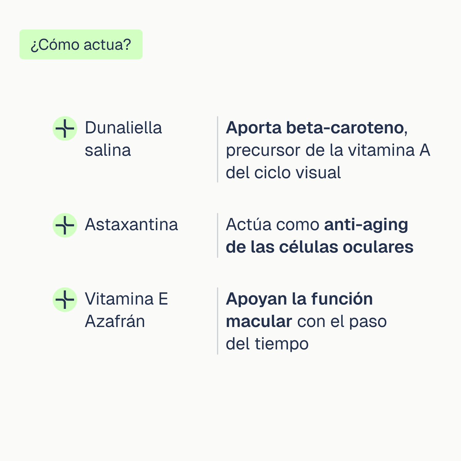 Vision Pro