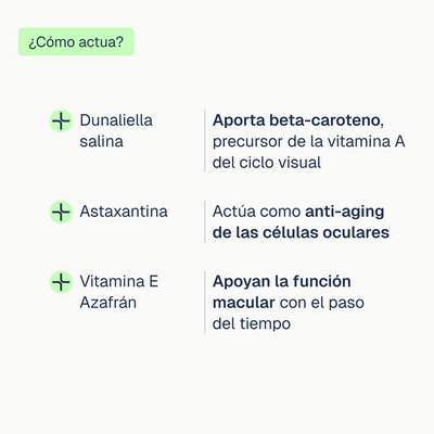 Vision Pro
