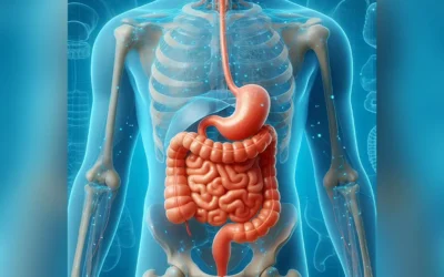 Chlorella: Propiedades, beneficios y cómo elimina metales pesados