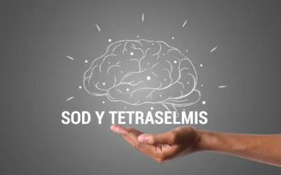 SOD y Tetraselmis: La revolución en salud cognitiva
